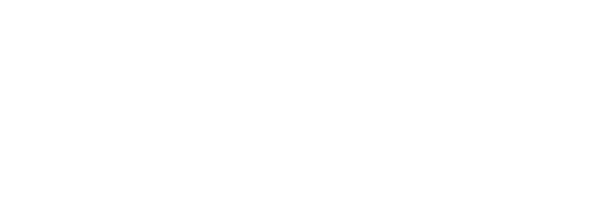 Grace Digital Solutions — Vision-to-Value
